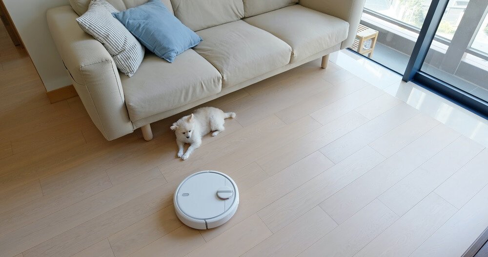 Dog Fear Vacuum Cleaner Roomba