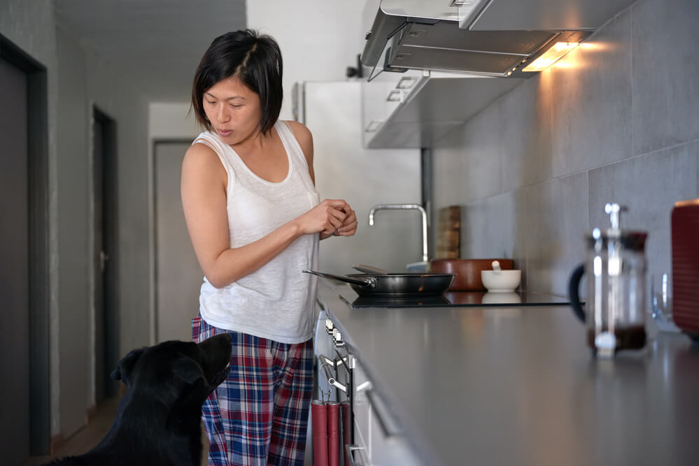 Dog begging for food in kitchen