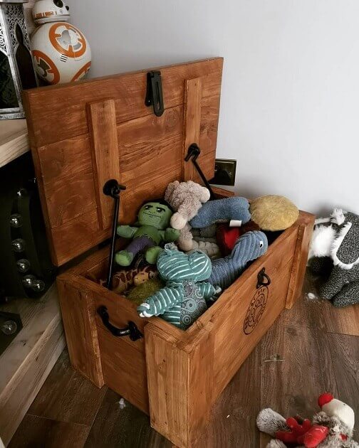 Build a Storage Chest to hold dog toys