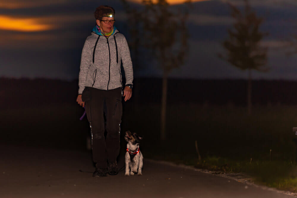 Tips to Safely Walk Your Dog at Night