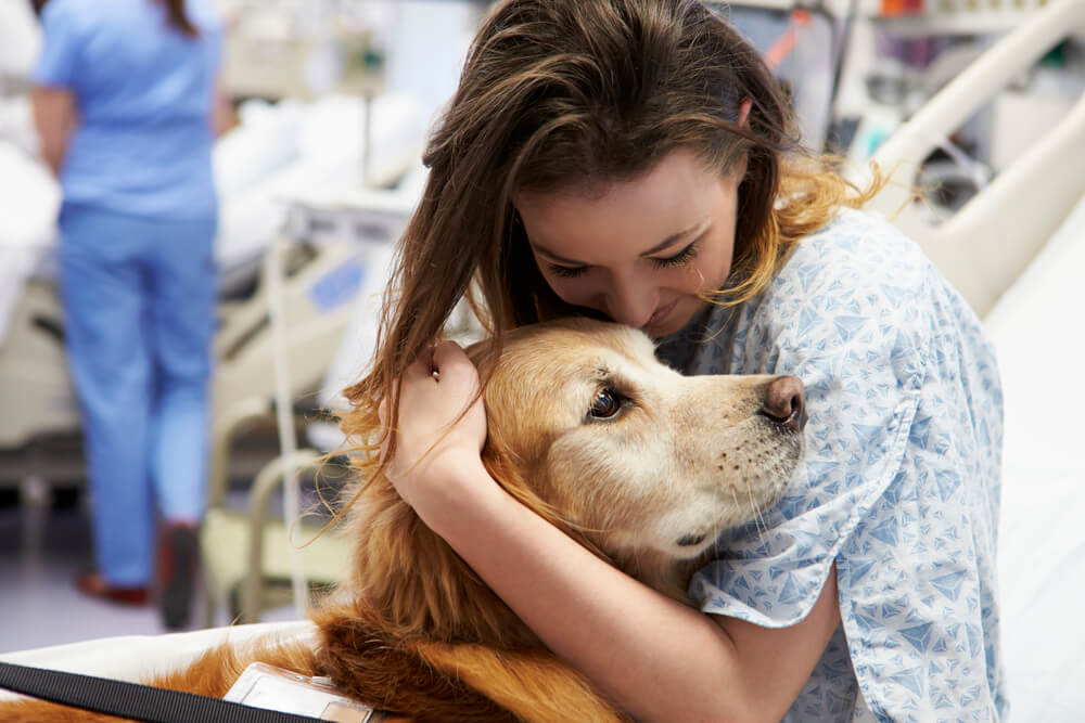 Socialization for therapy dogs
